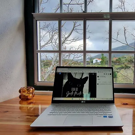 Casa Do Gato Preto Santo Amaro