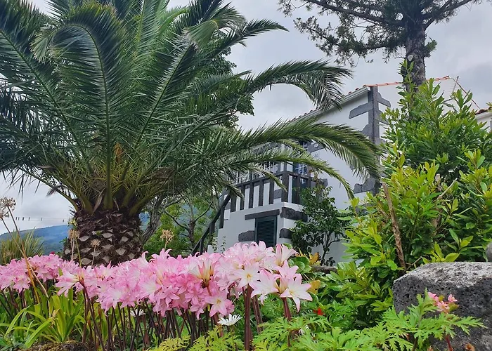 度假居 Casa Do Gato Preto *